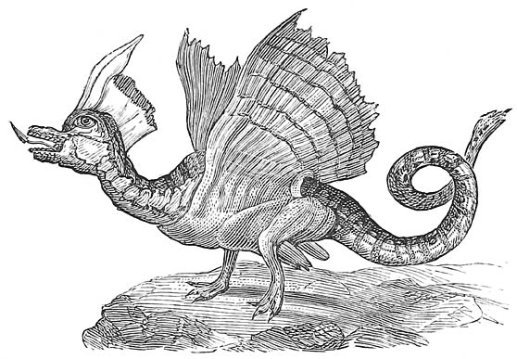 fig126.jpg