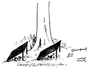AKE. Pieces of bark supported at one end by two sticks forming a kind of lean-to shed, under which are found a pot of water, bananas, and yams. Generally found at the foot of trees with various chalk marks in front of them.