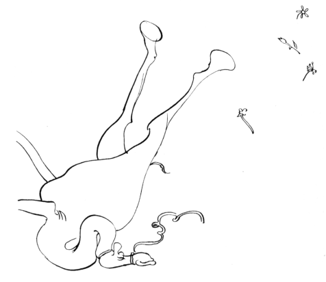 A caricature line drawing of a camel that has fallen on its head, with its four legs up in the air, and flowers flying through the air.