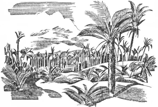 An abstract block-cut drawing of a lush area with dozens of palm trees and other plants, with mountains and clouds in the background.