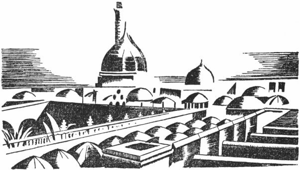 A woodcut drawing of the tops of several buildings in a town, with a large building in the background with a cylindrical top, and a smaller one to its right.