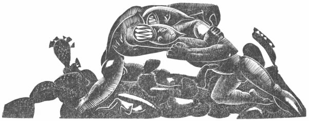An abstract woodcut drawing of two men fighting in the midst of a cactus.